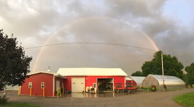 CSA - Rainbow behind shop 2018.jpeg
