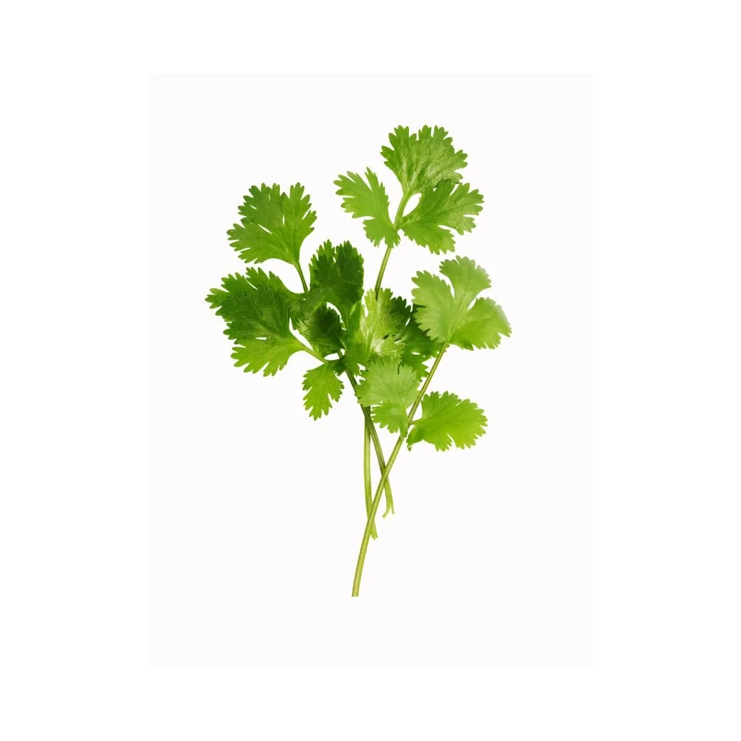 Untitled design-40.jpg