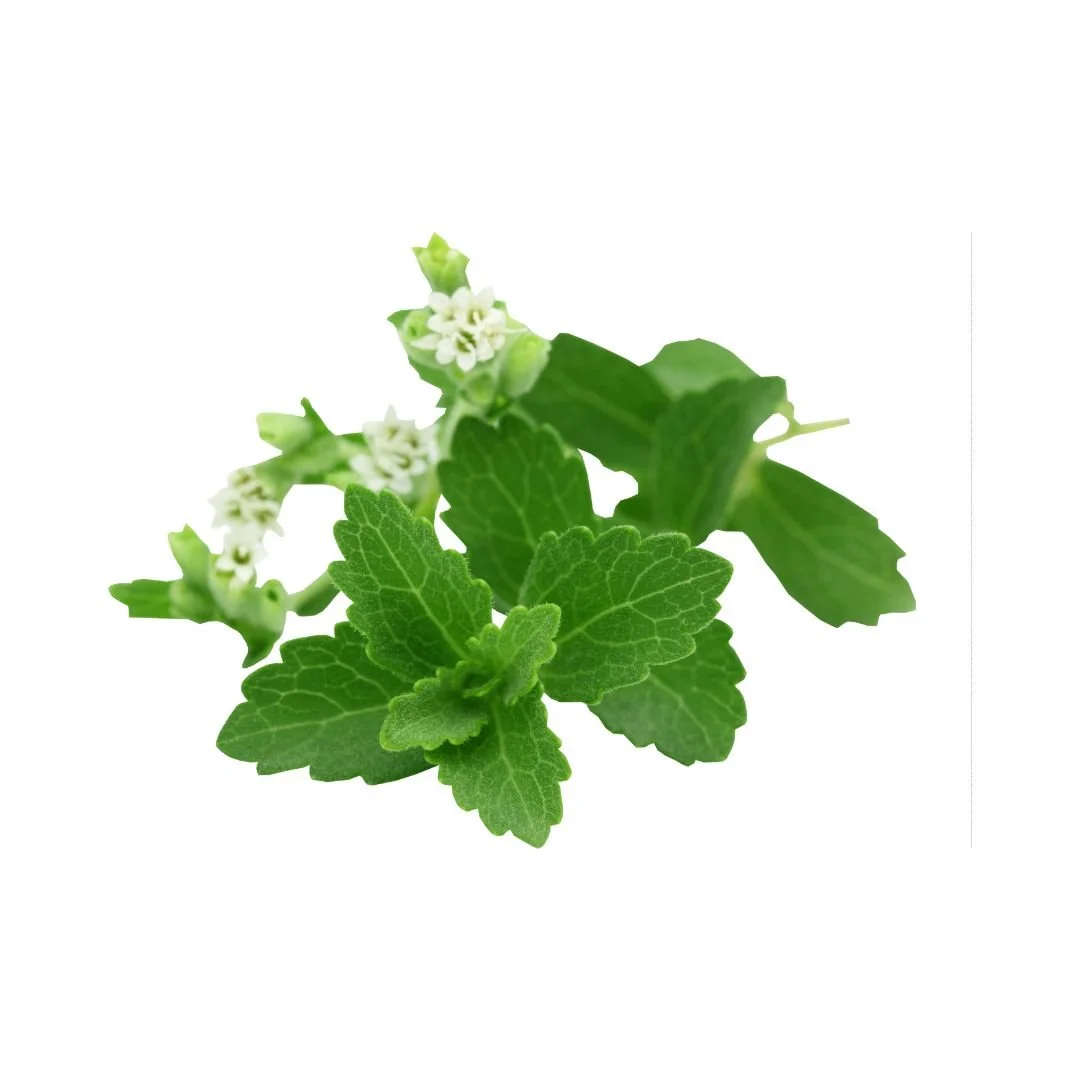 Untitled design-52.jpg