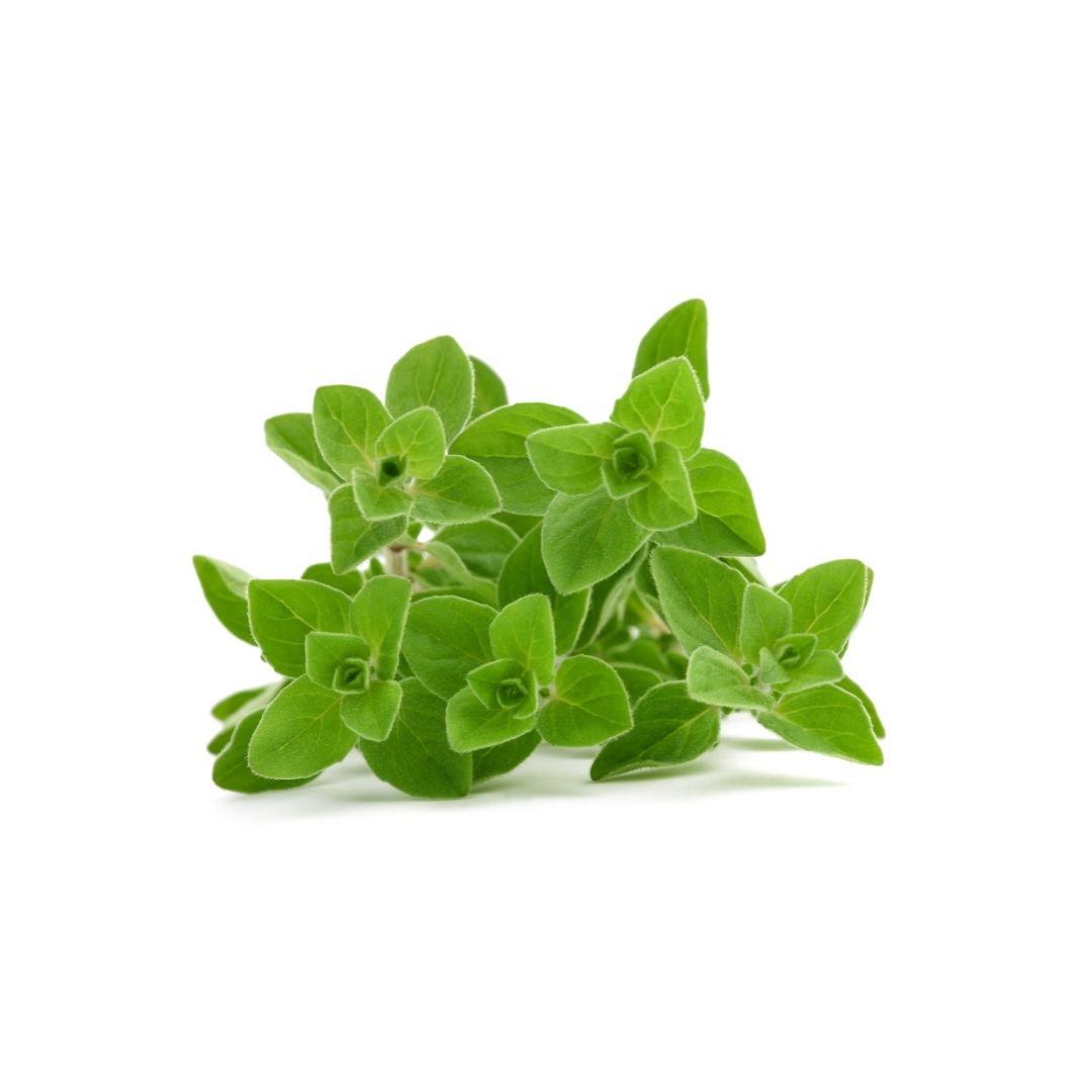 Untitled design-45.jpg