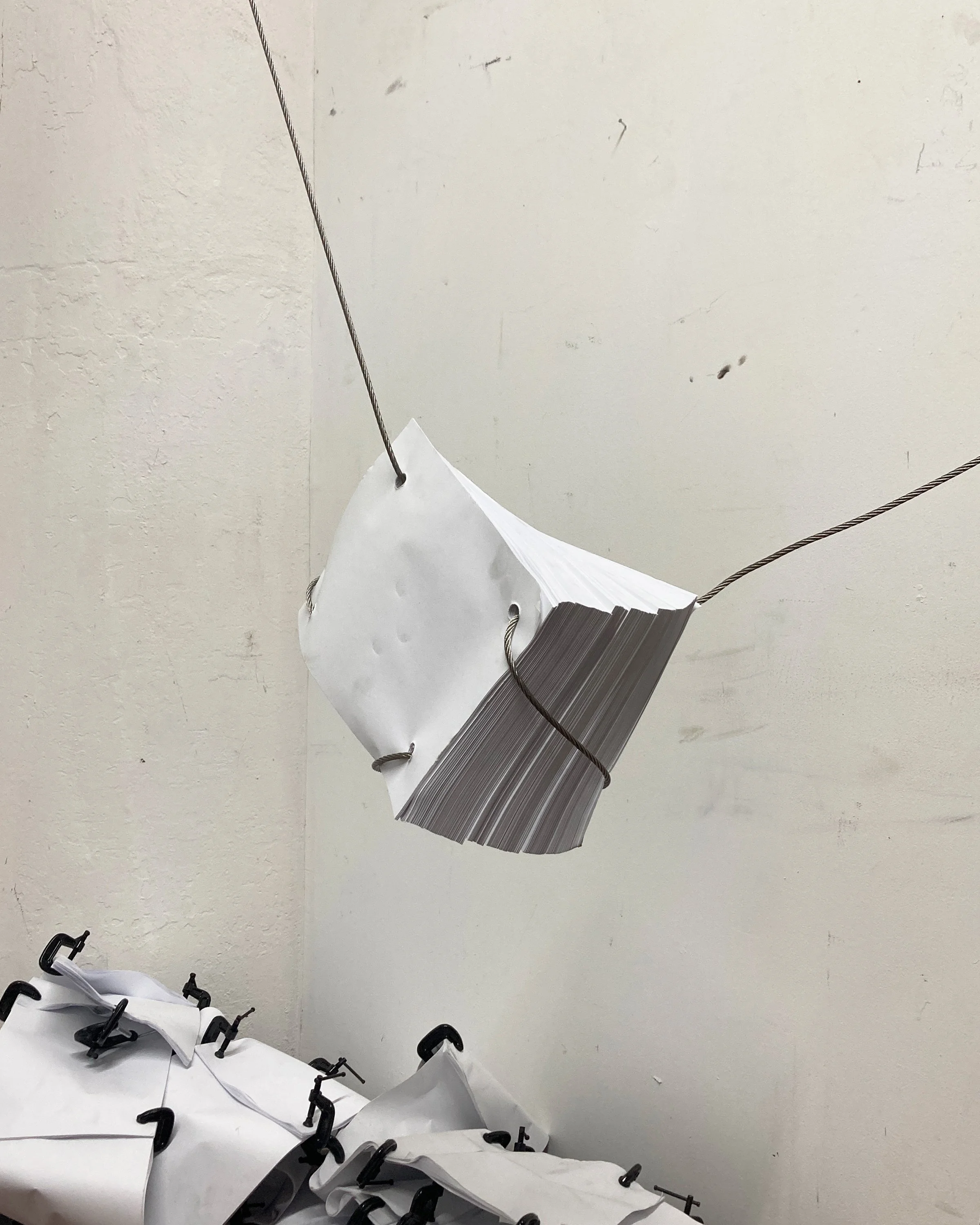 paper_works_0017_IMG_9683.jpg