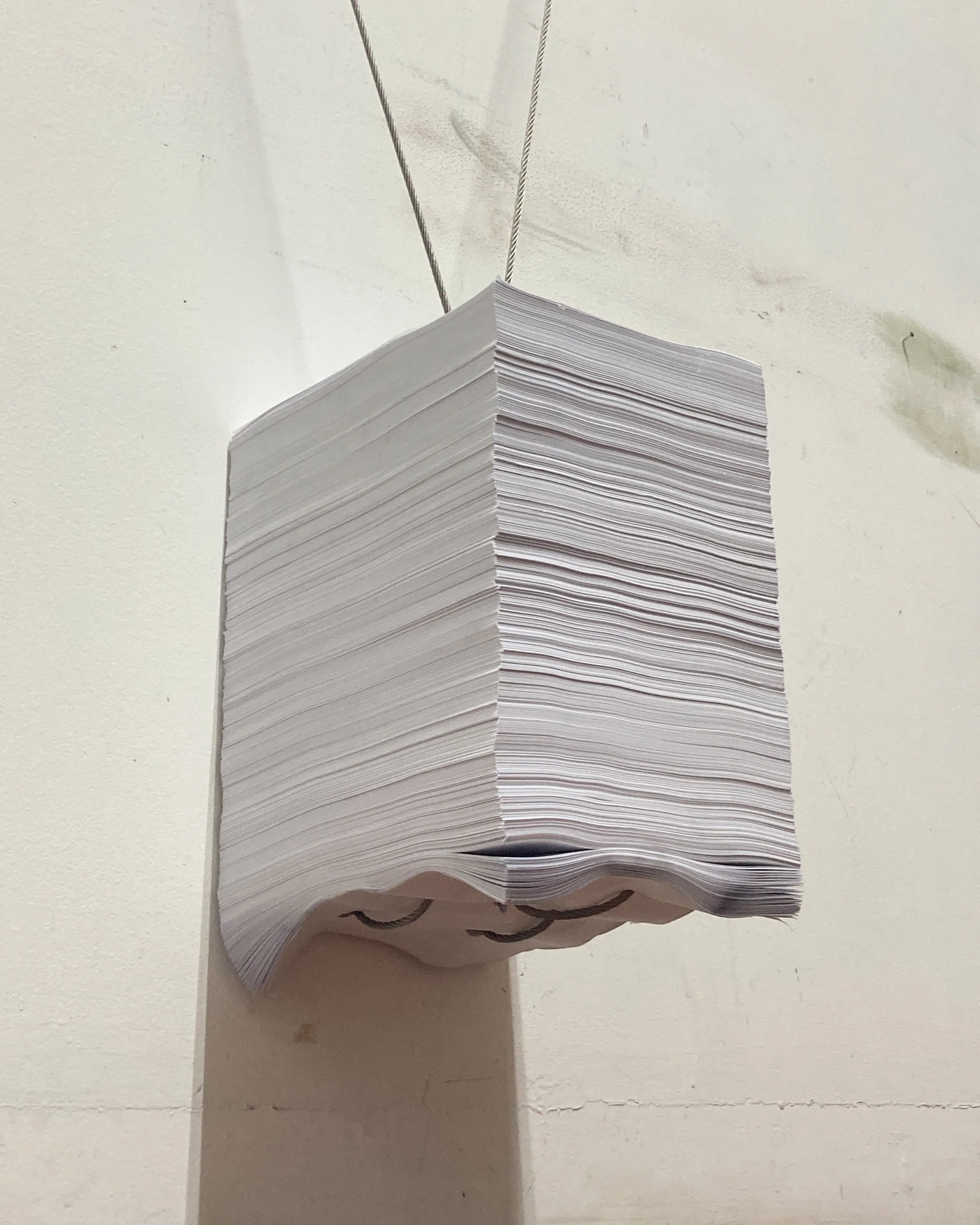 paper_works_0010_IMG_9738.jpg