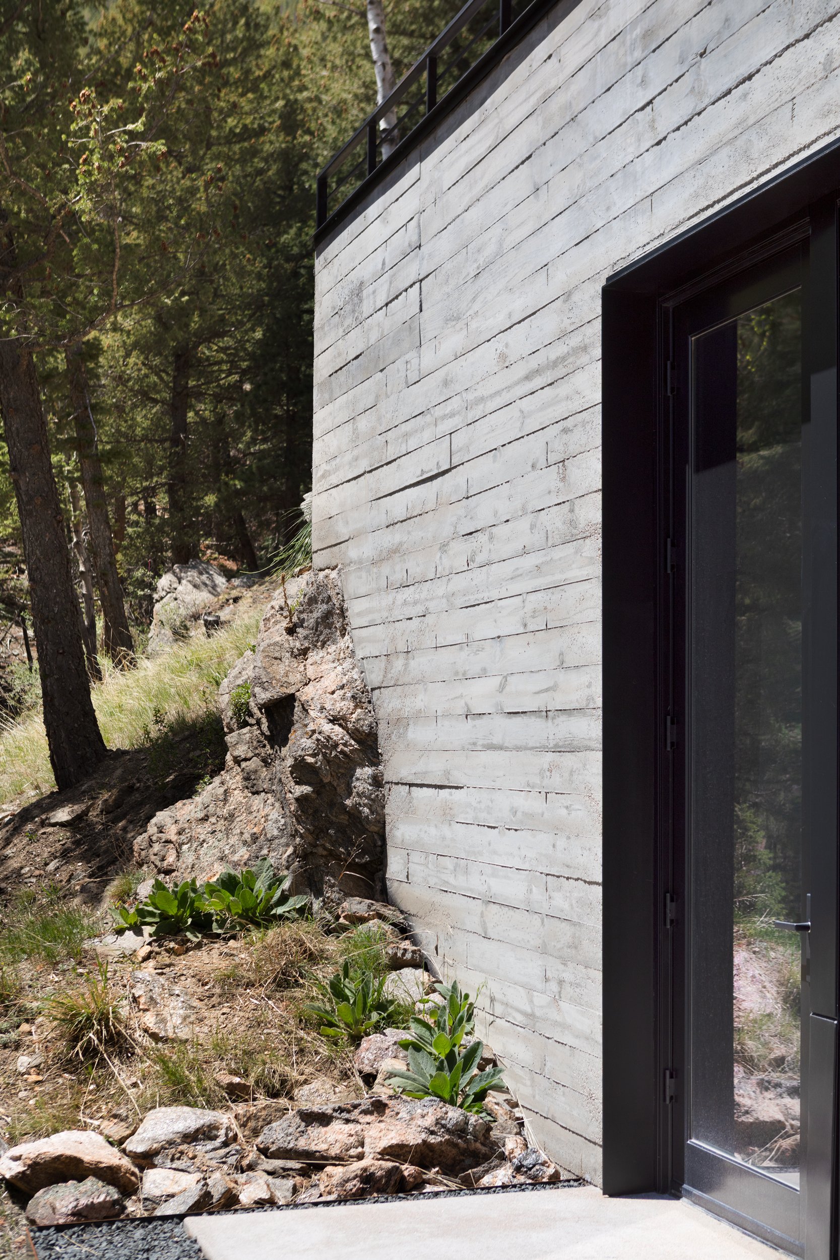 BlueSpruce-14.jpg