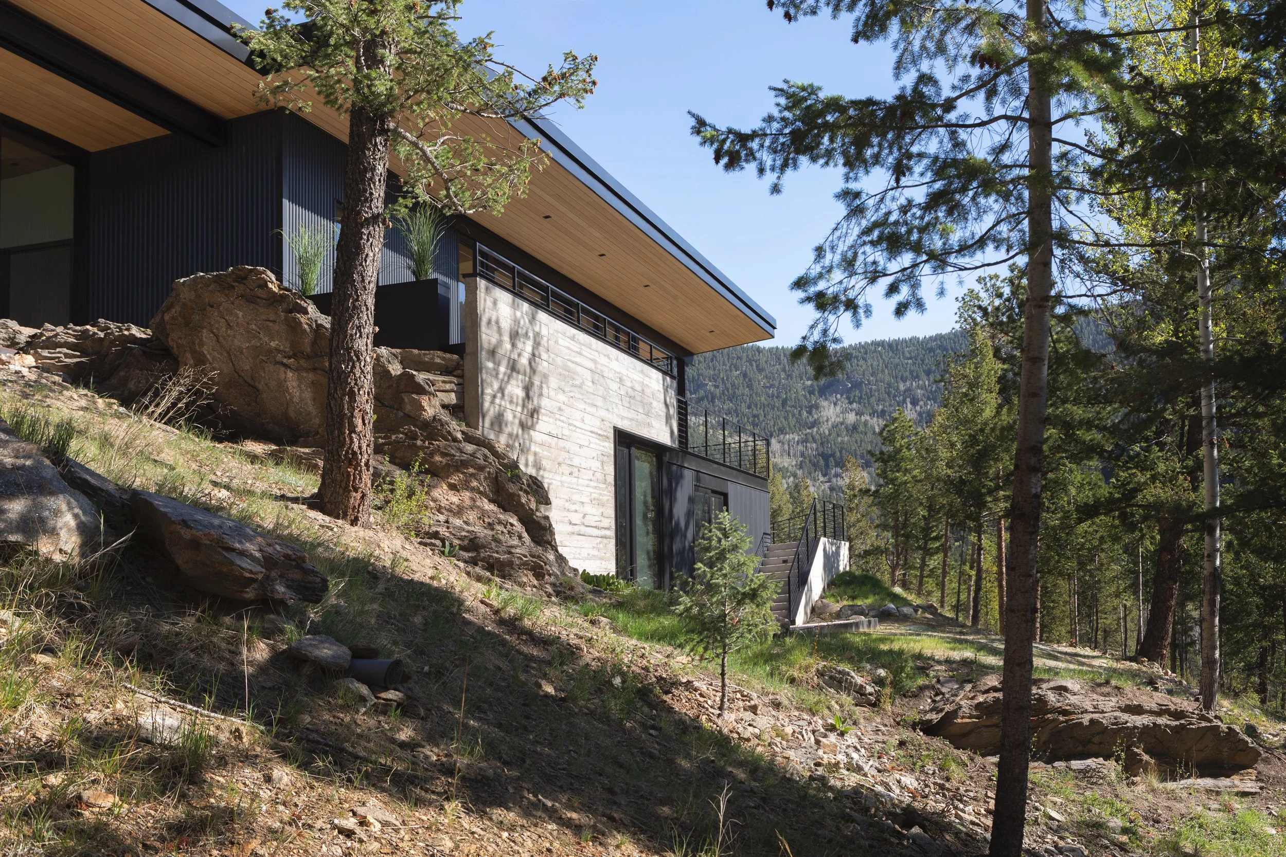 BlueSpruce-04.jpg