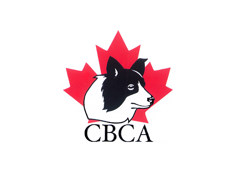 canadian border collie breeders