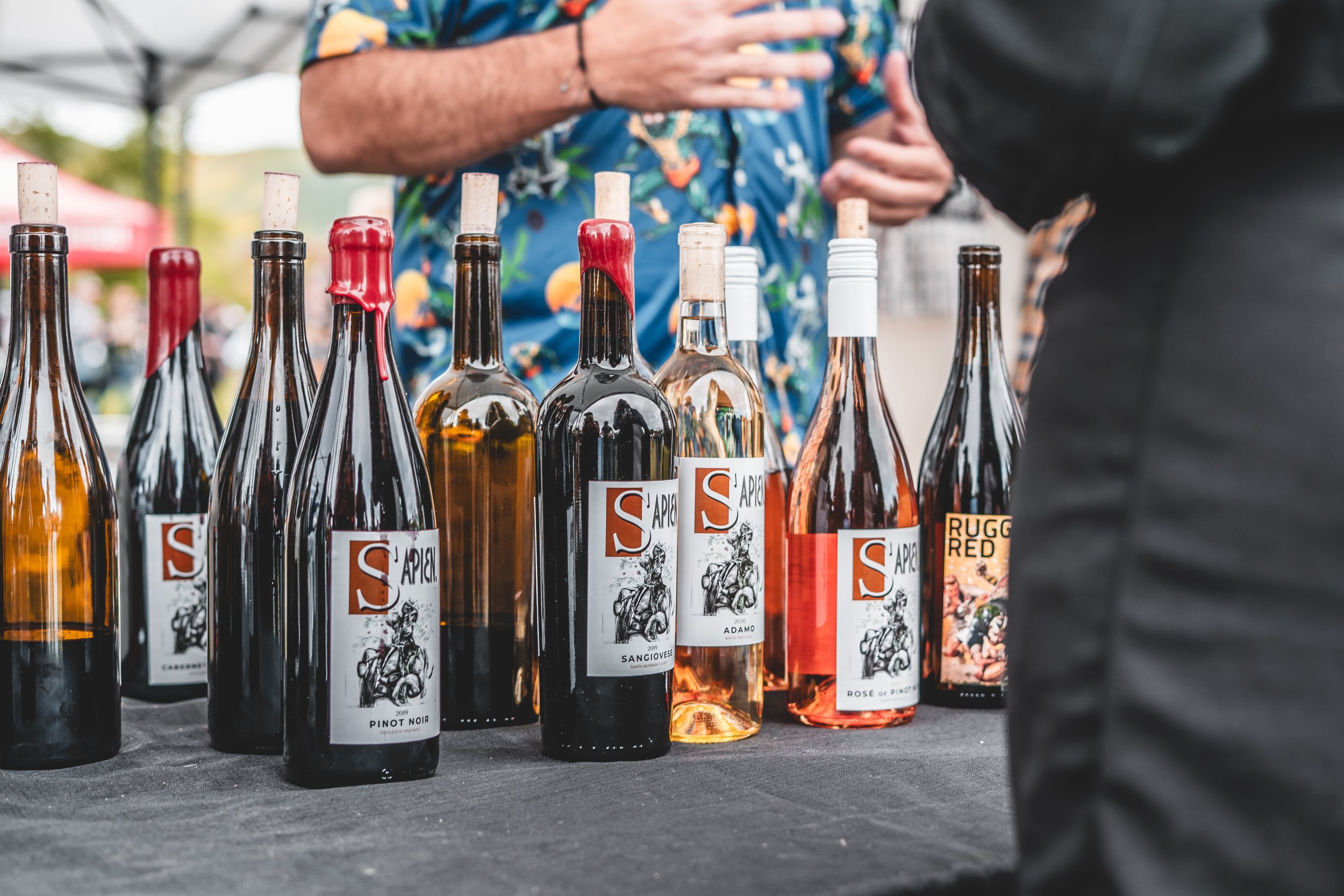 Sapien Vina Clava Six Bottle Club