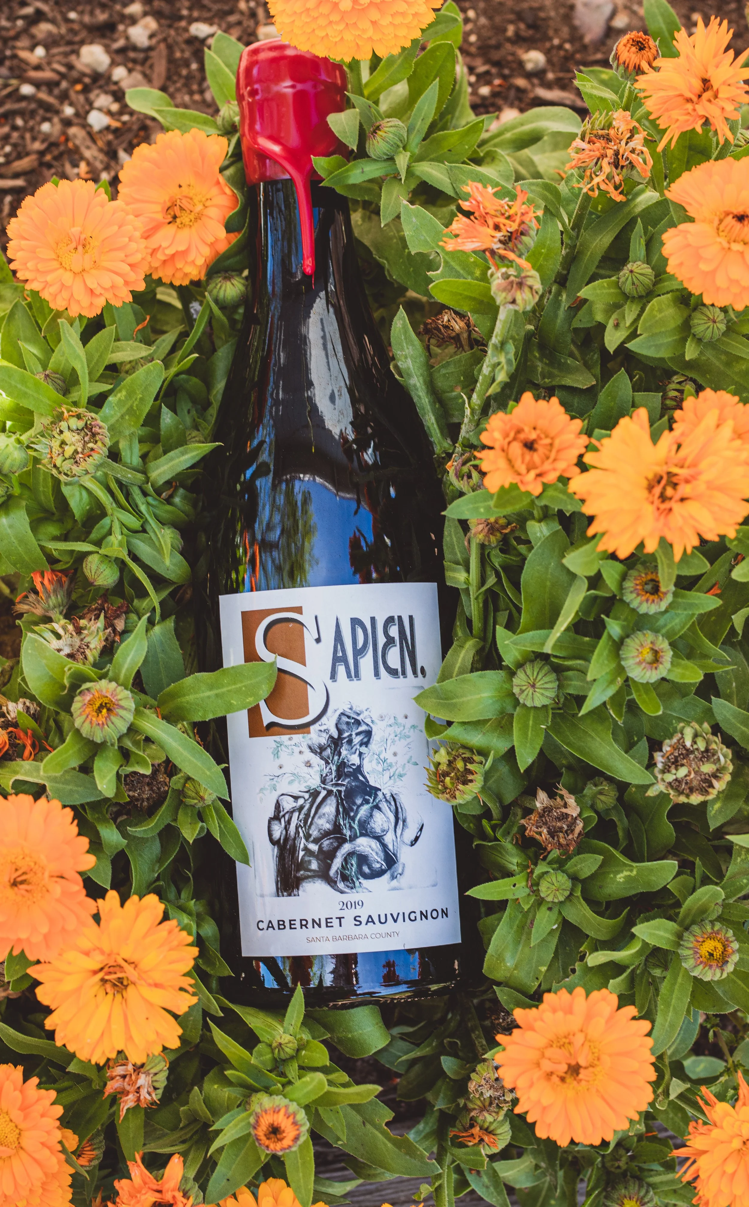 2019 Cabernet Sauvignon -90 points