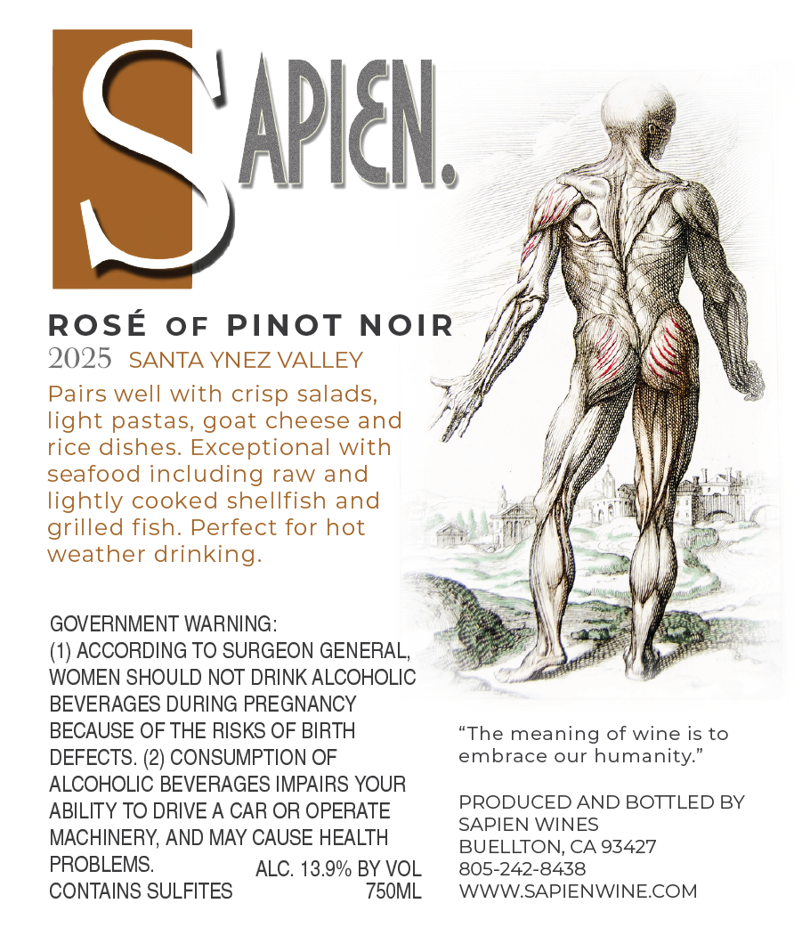 2025 Roseì of Pinot Noir - Back.png