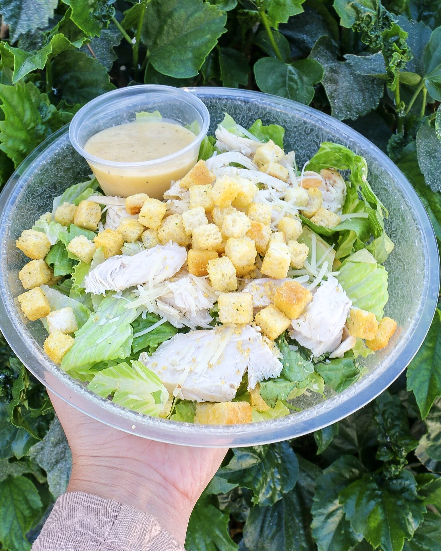 CHICKEN CESAR SALAD