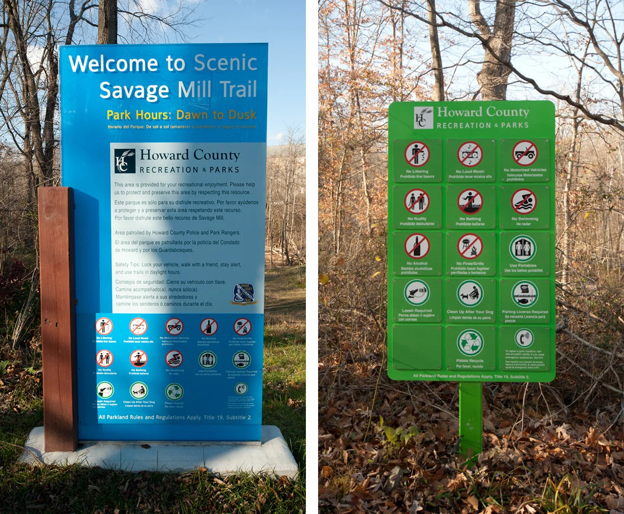 Salam_Portfolio Savage.jpg