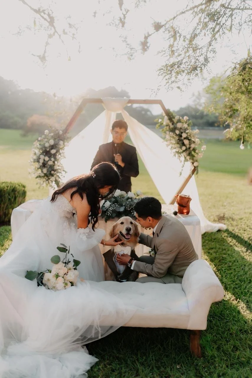 WhatsApp Image 2025-12-17 at 8.38.59 AM (11).jpeg