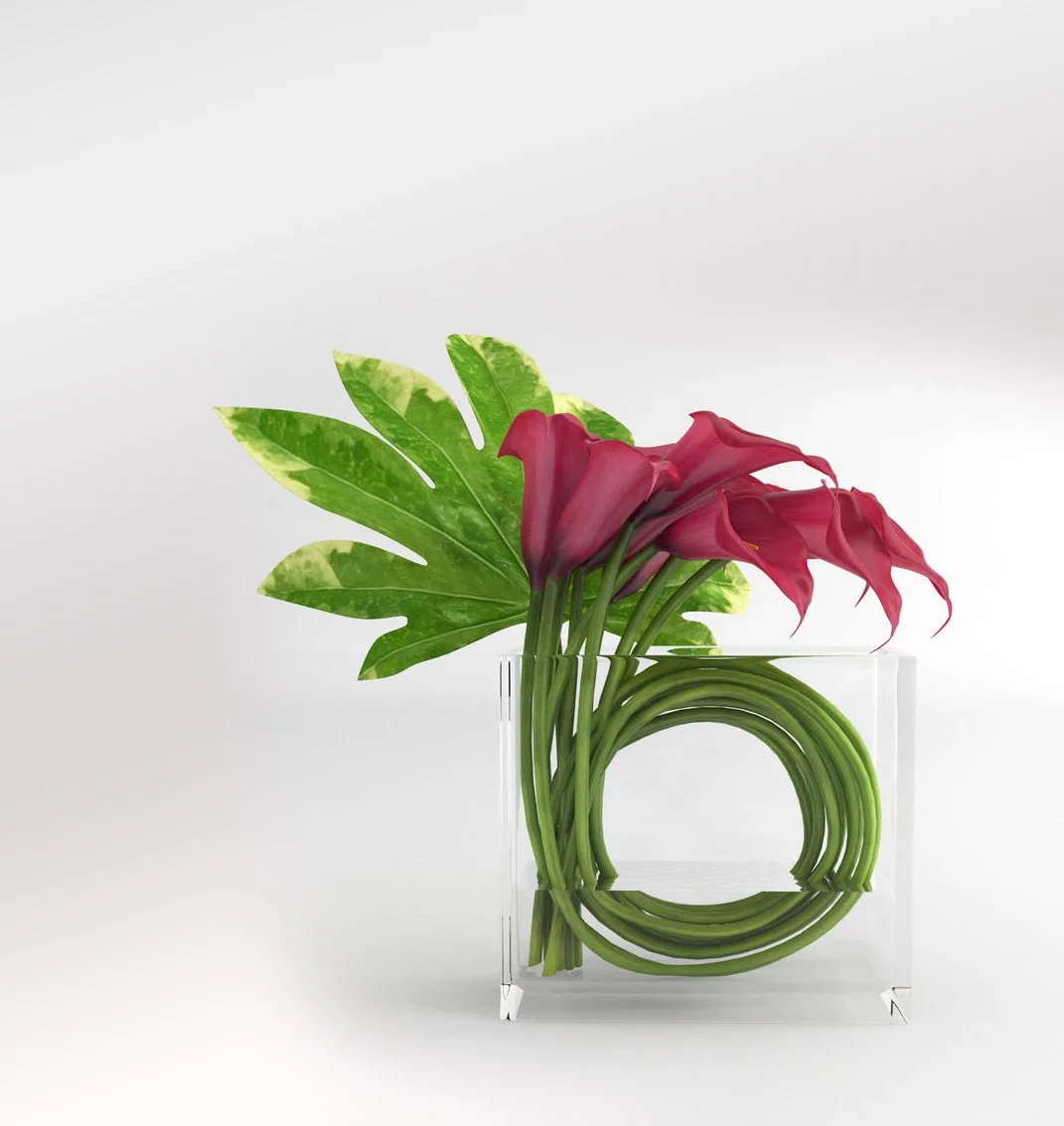 callas2.jpg