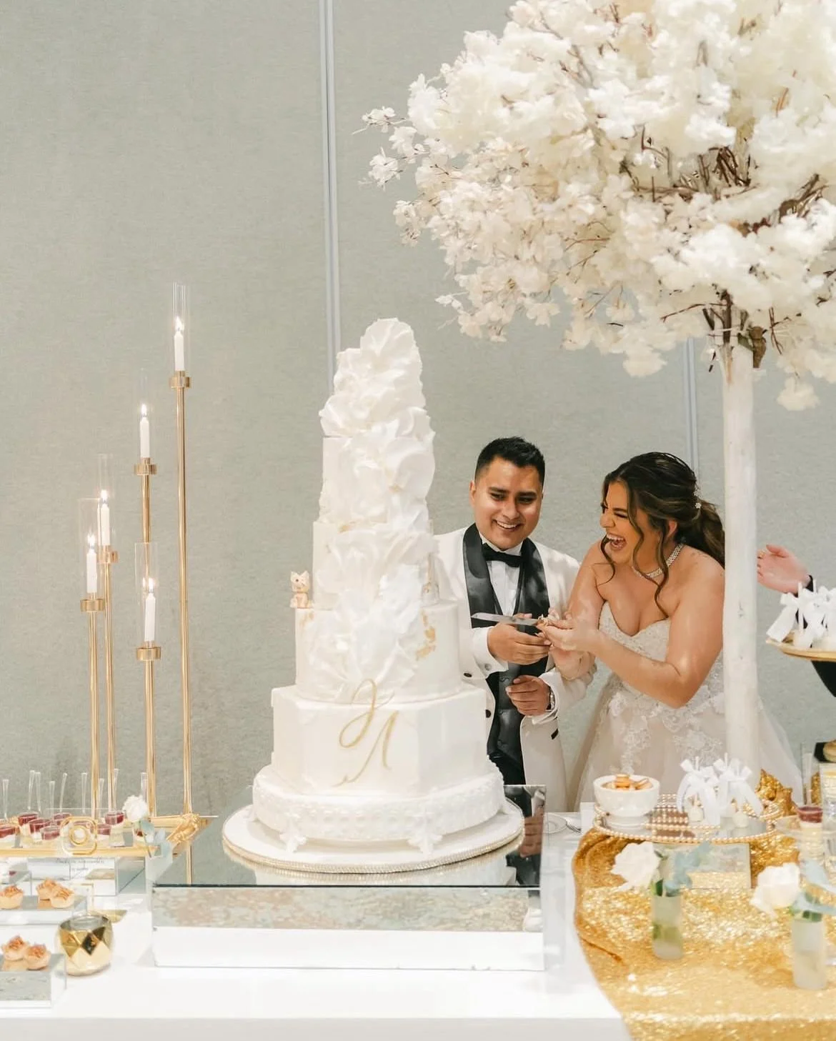 WhatsApp Image 2025-12-26 at 11.50.40 AM.jpeg