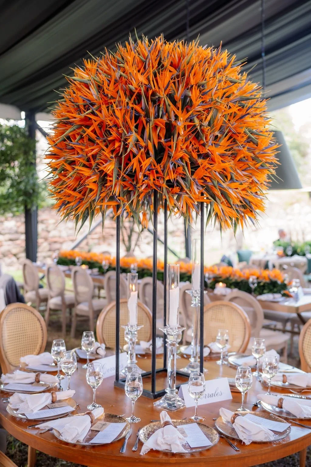 birds-table.jpg