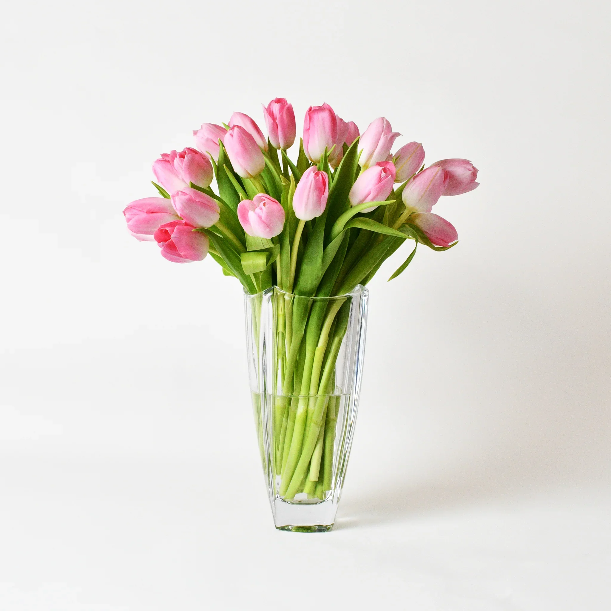 pink-tulips.webp