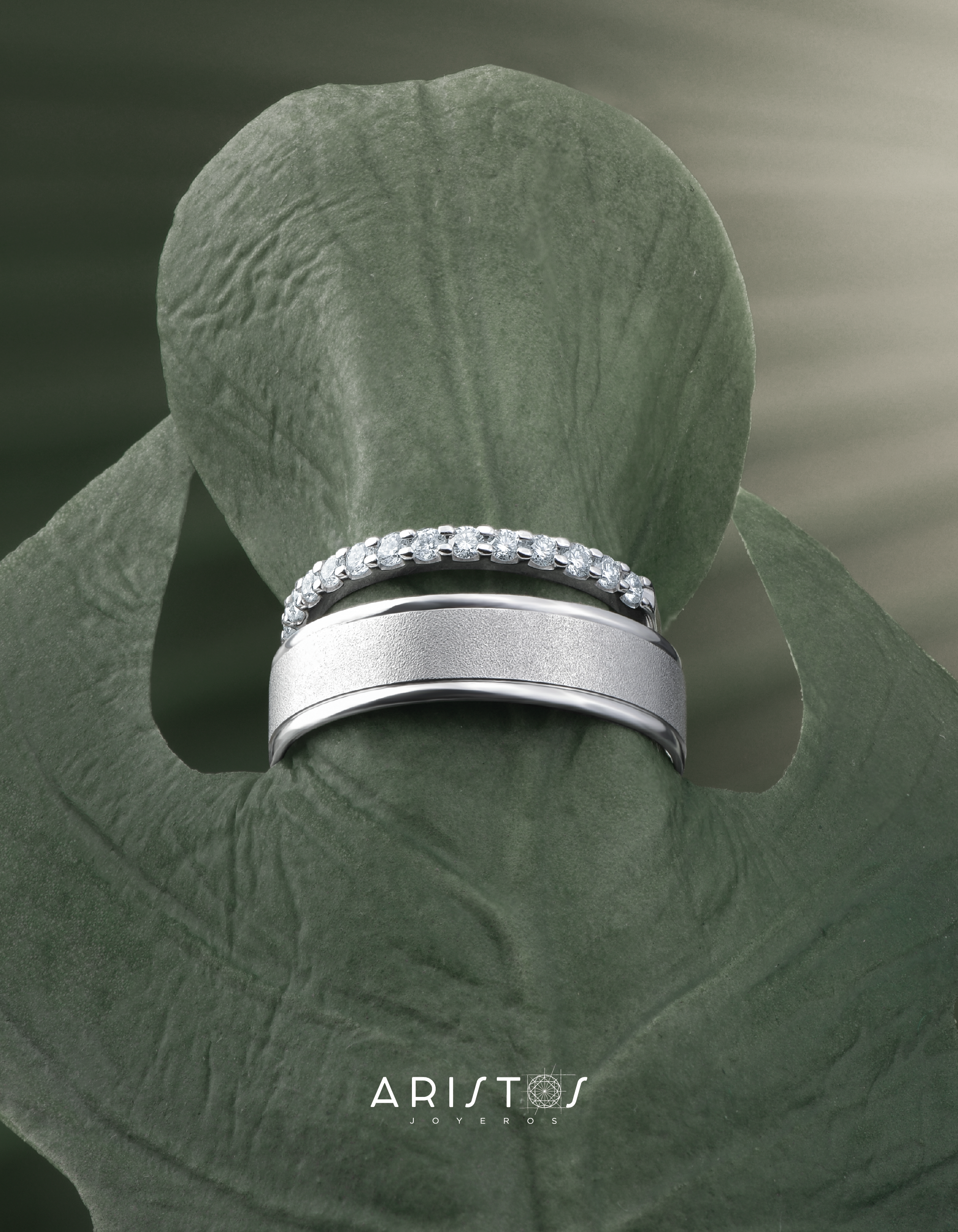 REVISTA ARISTOS EXPOBODA-02.png