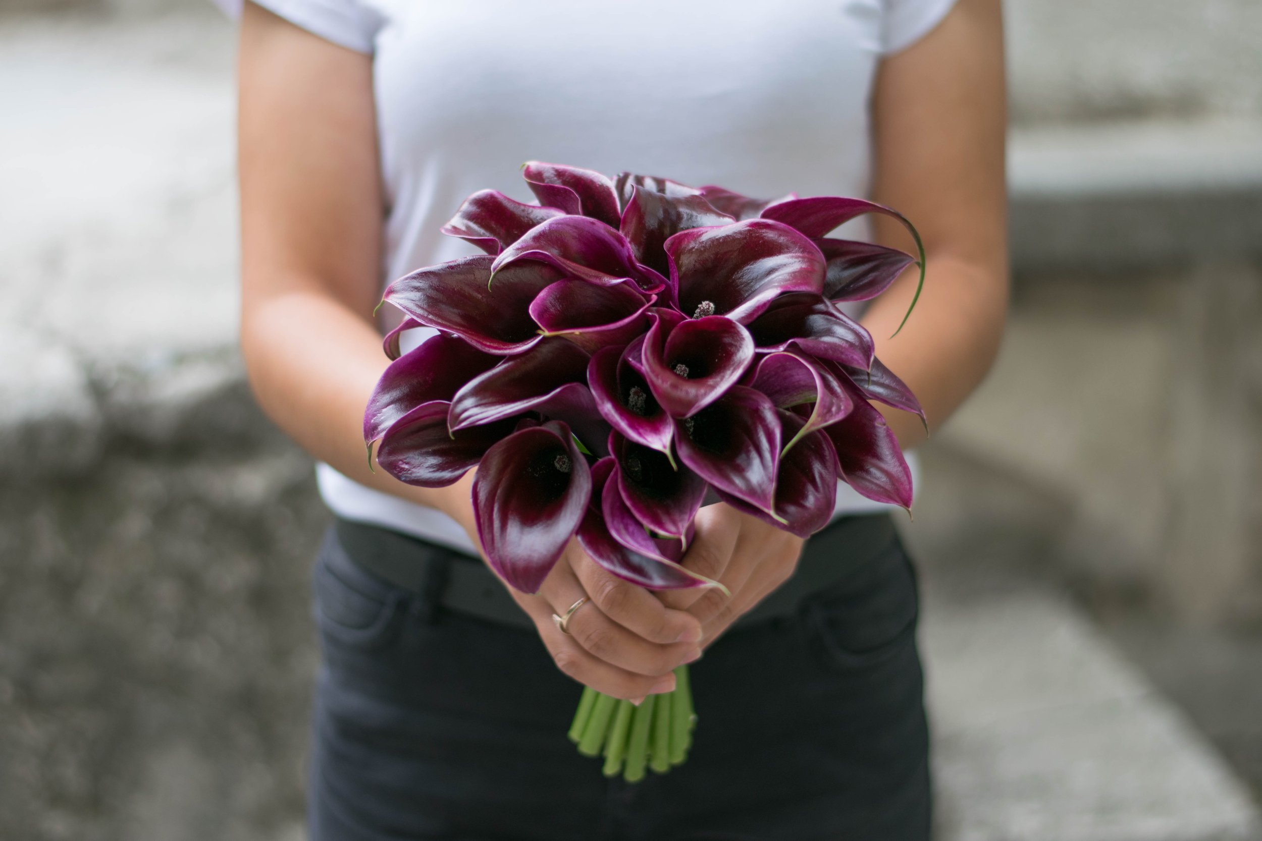 callas-purple.jpeg