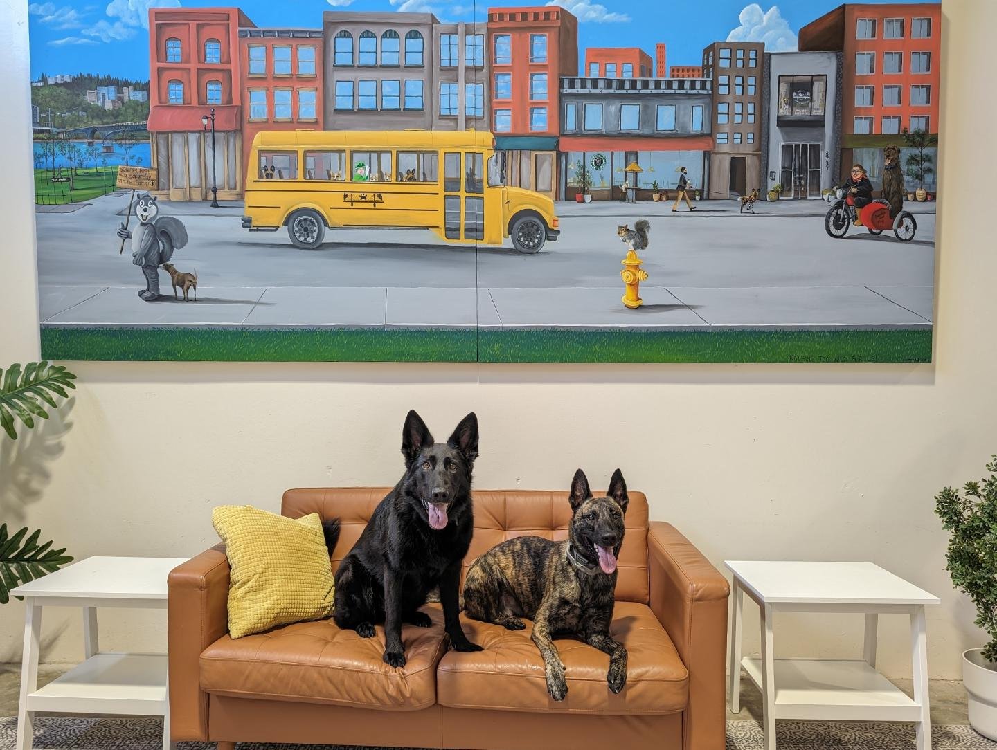 Our newest mural addition ❤️

If you have been to UP in person, then you've probably seen some fun art around the building, including our African Dog in the office window, and our &quot;Squirrel Fest&quot; print in the private lesson room.

These wer