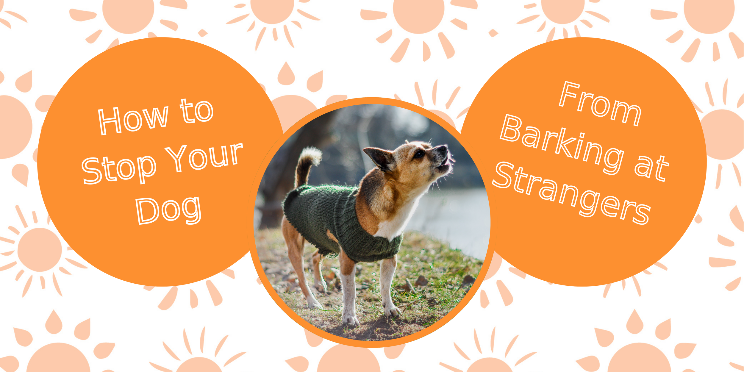 Illustration of Can Dogs Learn To Stop Barking At Noise