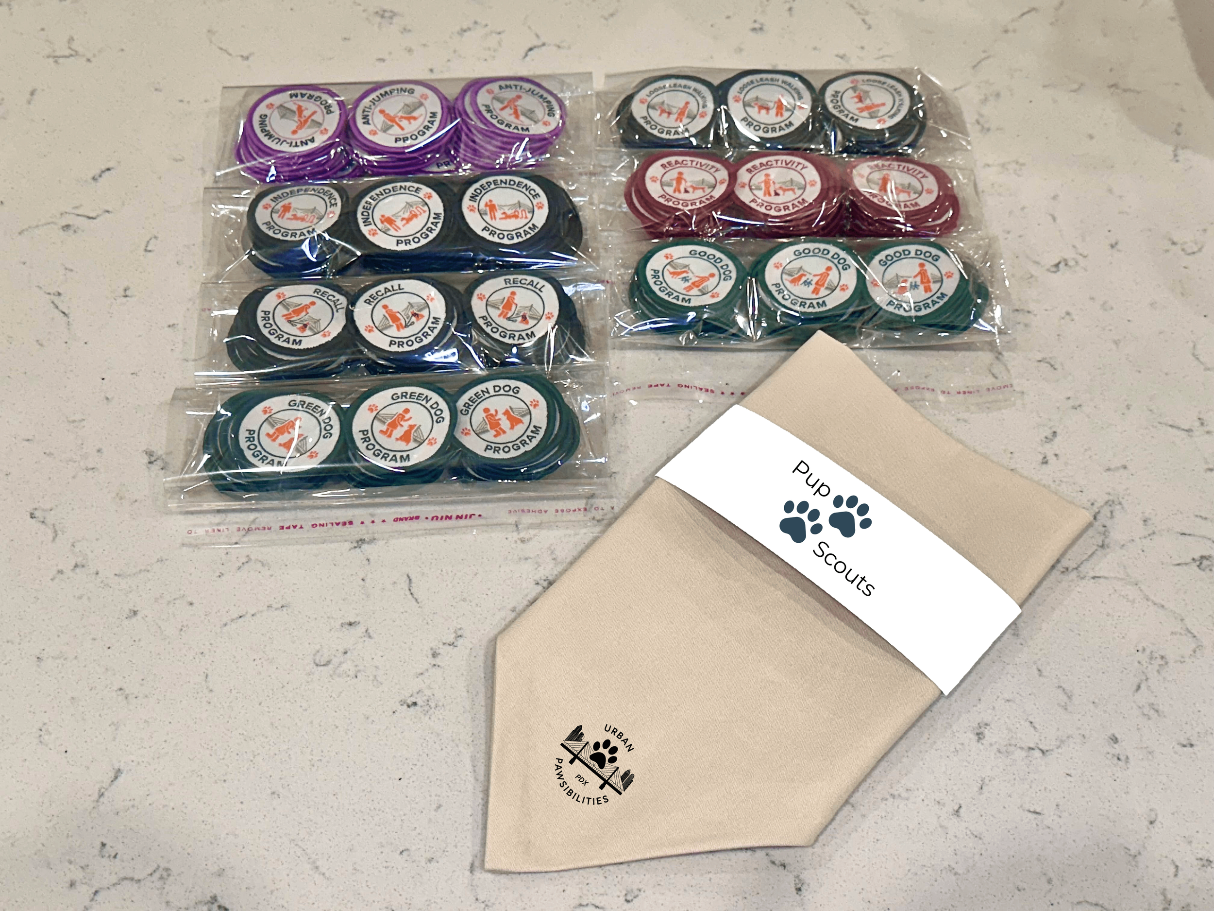 Introducing the Pup Scouts