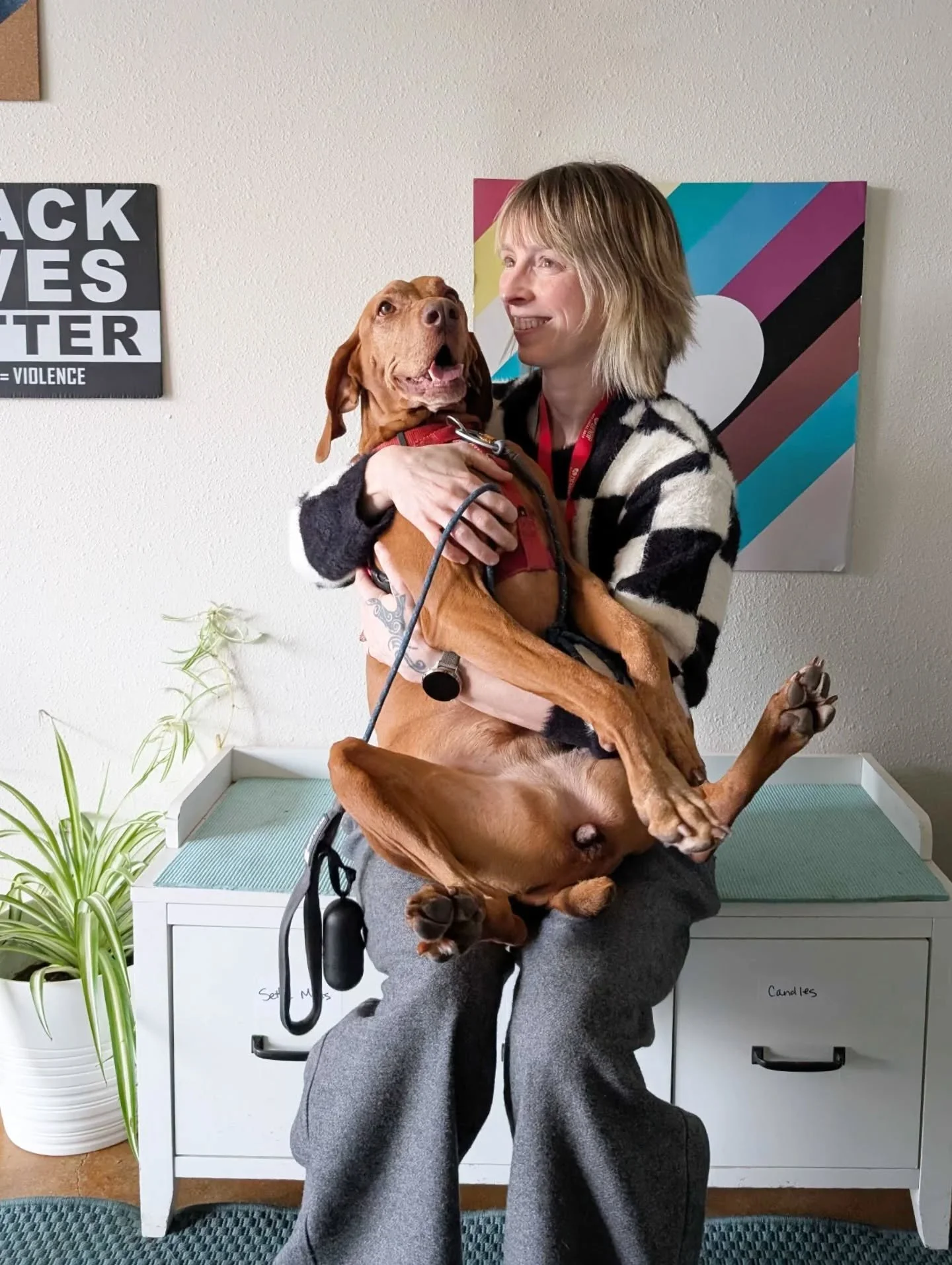 Join us for Parent-Teacher Conferences on Sunday March 29th from 5-7pm.

This special evening is open to any clients who have worked with us in daytraining, group classes, or private lessons, and it&rsquo;s a wonderful opportunity to connect one-on-o