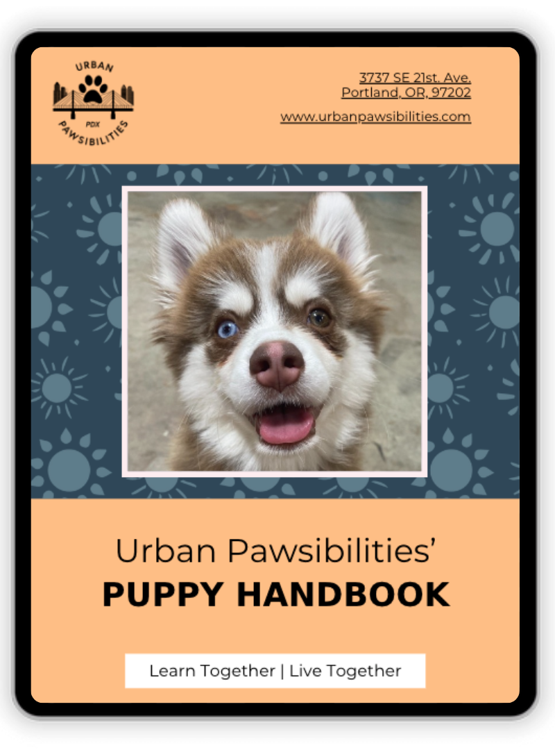 puppy-social-hour-se-portland-or-urban-pawsibilities