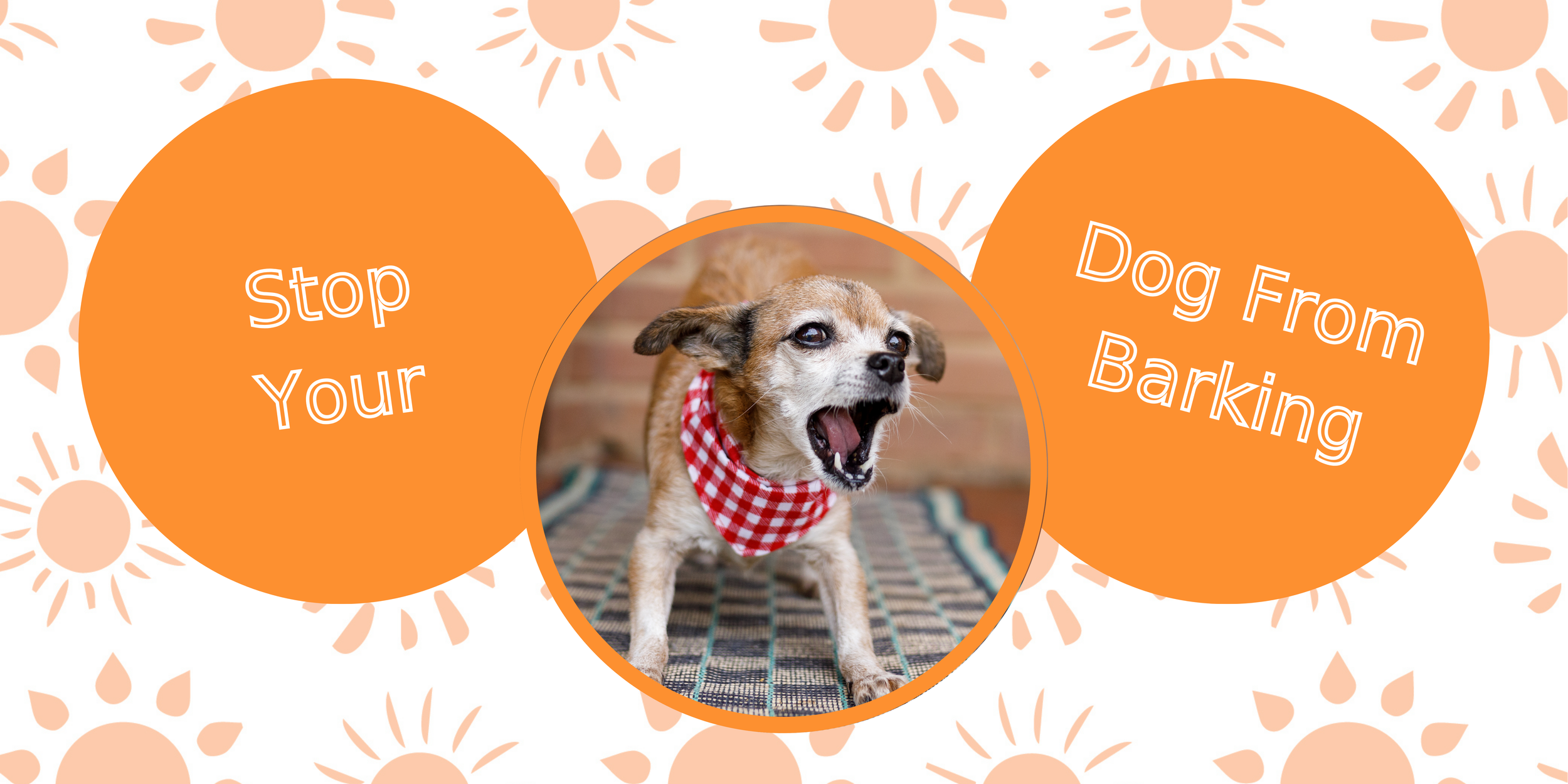 3 Steps to Stop Your Dog From Barking Urban Pawsibilities