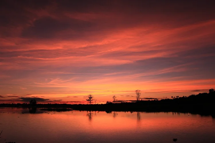 Amazon sunset