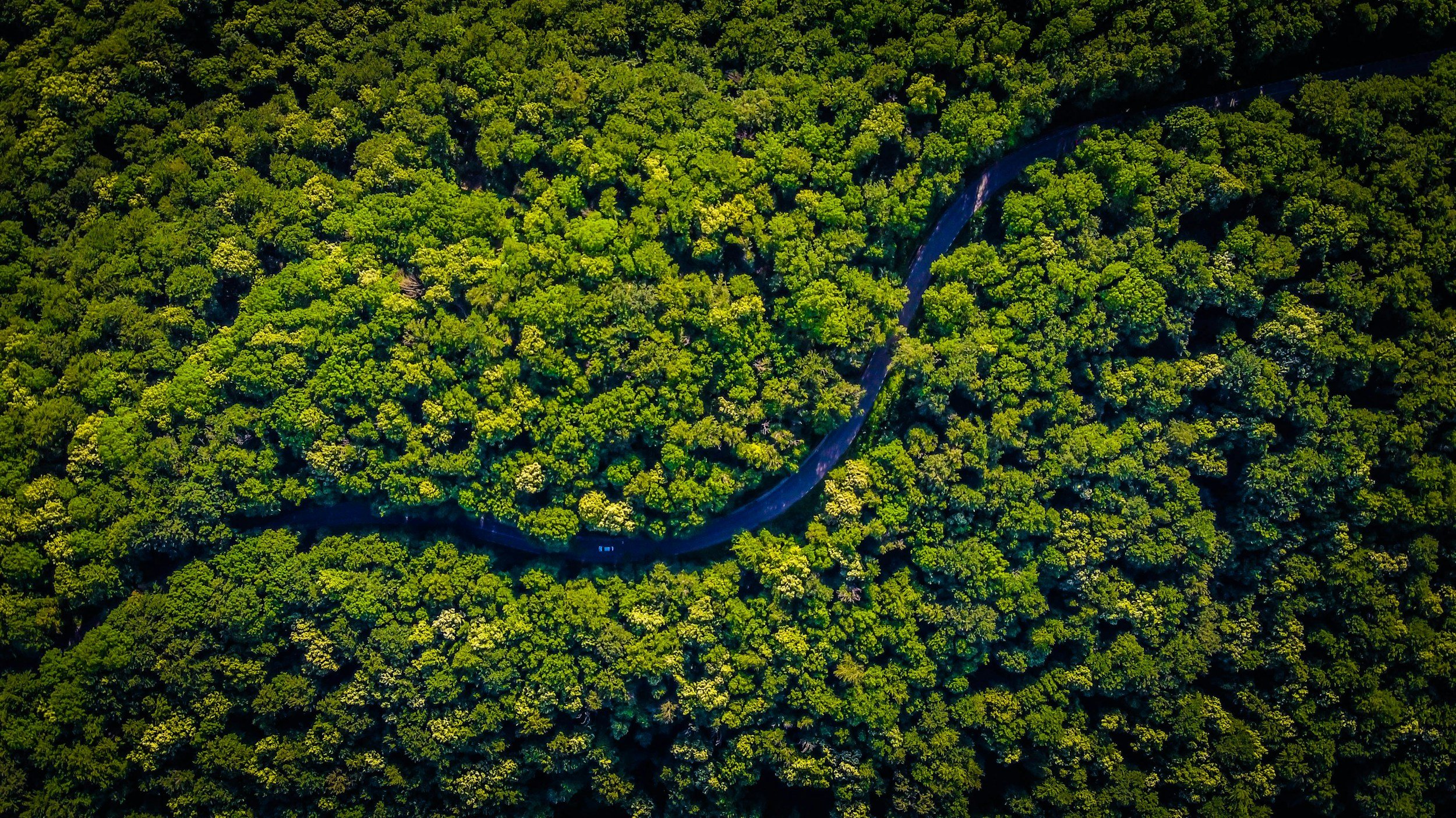 unsplash-image-pt7QzB4ZLWw.jpg
