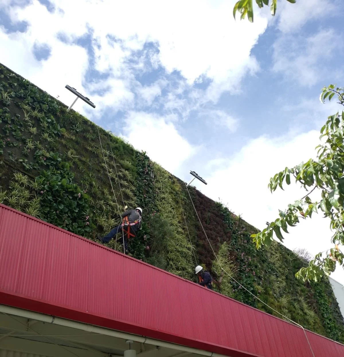 WhatsApp Image 2024-05-24 at 1.24.29 PM.jpeg