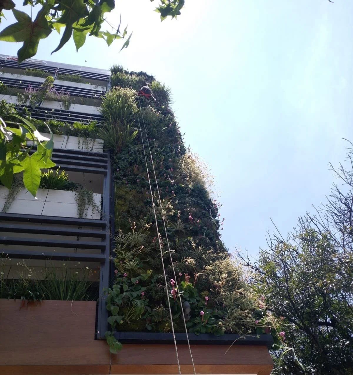 WhatsApp Image 2024-05-24 at 1.31.44 PM.jpeg