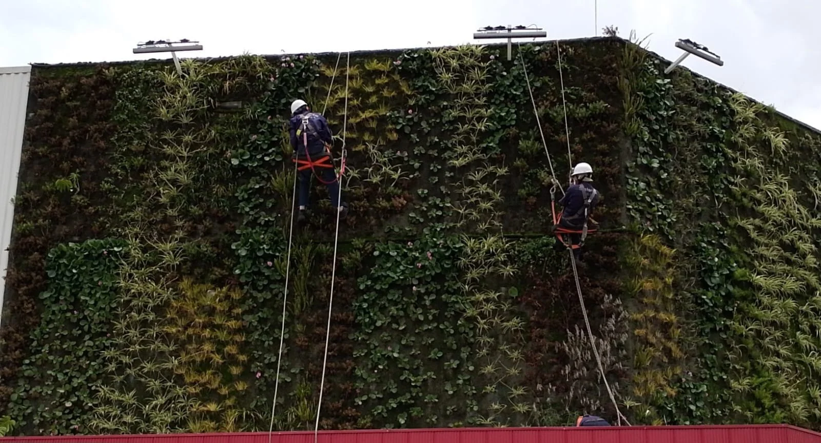 WhatsApp Image 2024-05-24 at 1.31.45 PM.jpeg