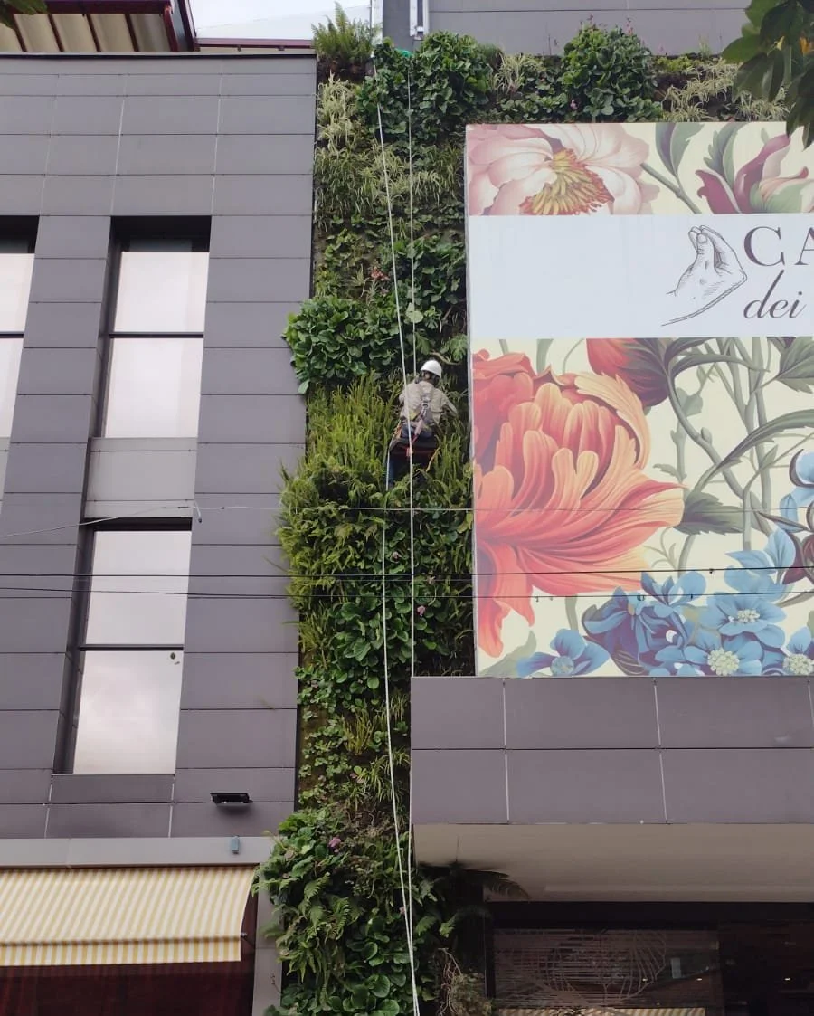 WhatsApp Image 2024-05-24 at 1.38.06 PM.jpeg