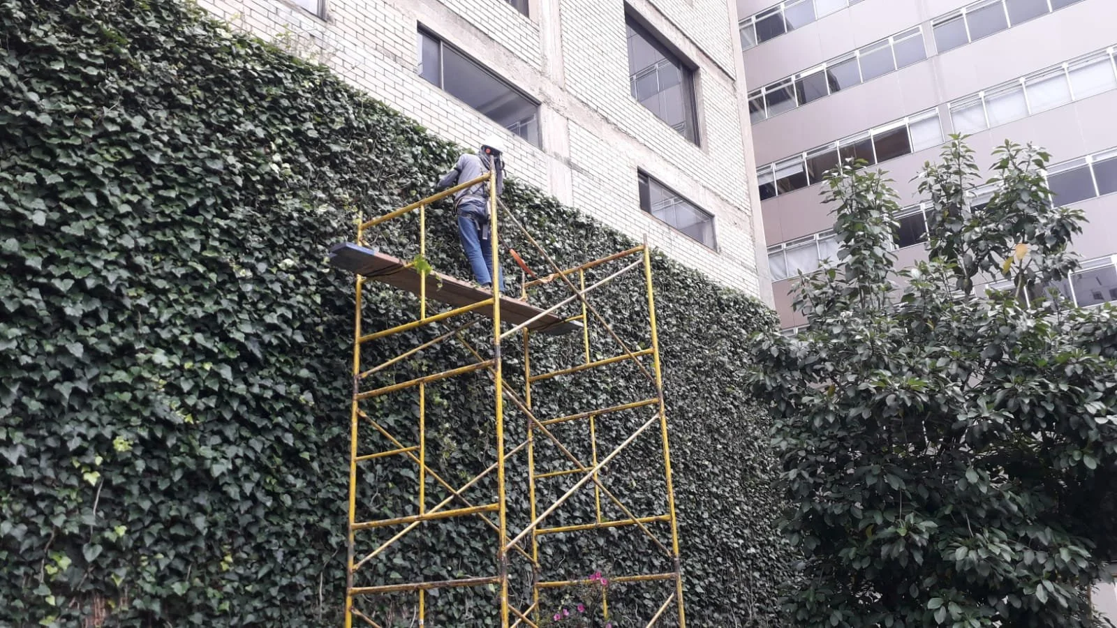 WhatsApp Image 2024-05-24 at 1.20.14 PM.jpeg