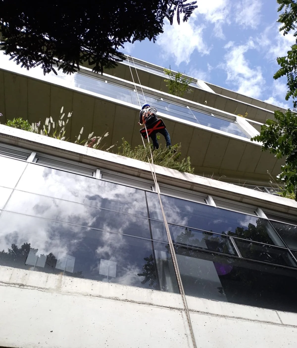 WhatsApp Image 2024-05-24 at 1.47.06 PM.jpeg