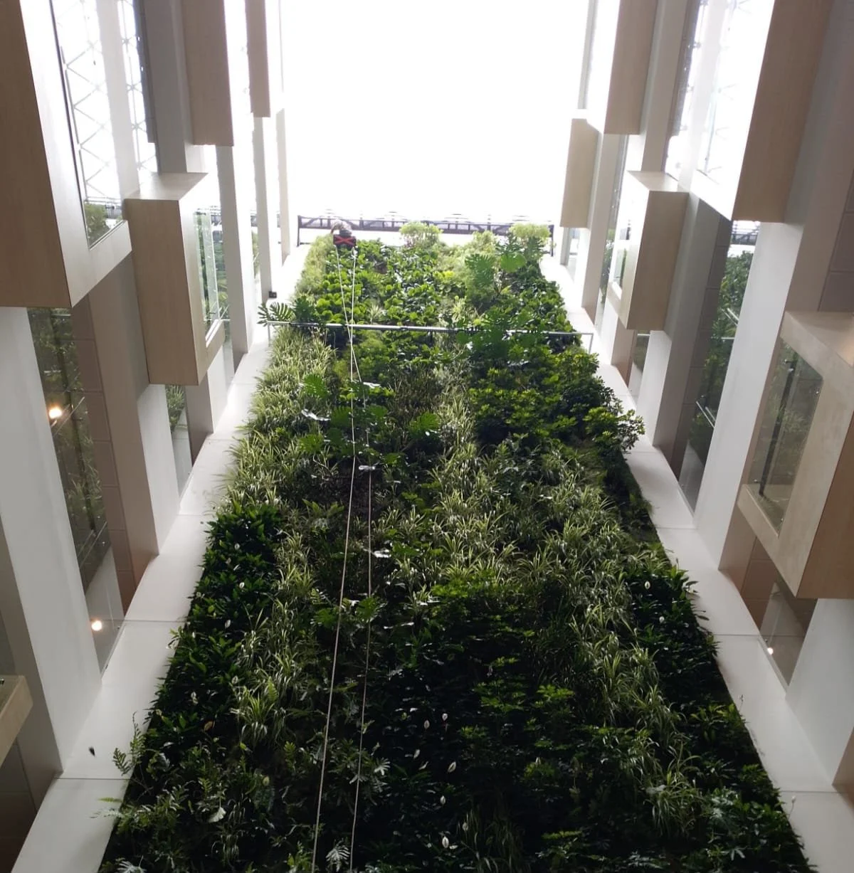 WhatsApp Image 2024-05-24 at 1.51.11 PM.jpeg