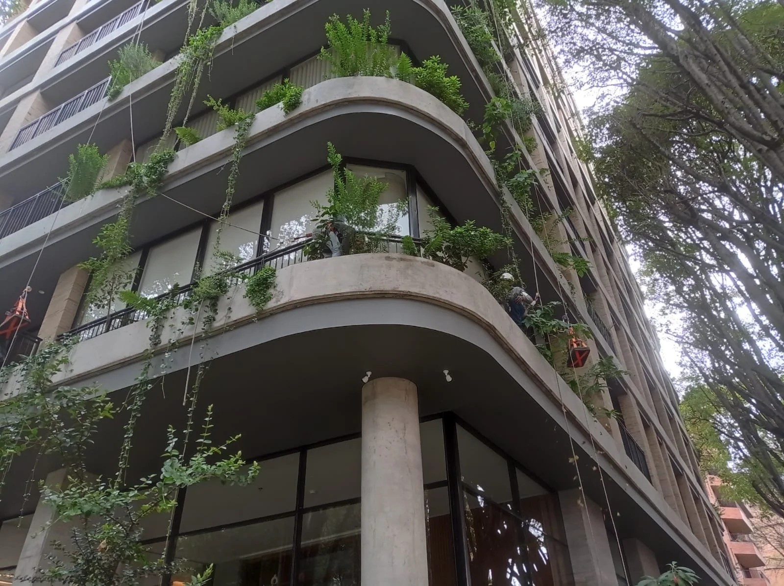 WhatsApp Image 2025-11-25 at 1.46.51 PM.jpeg