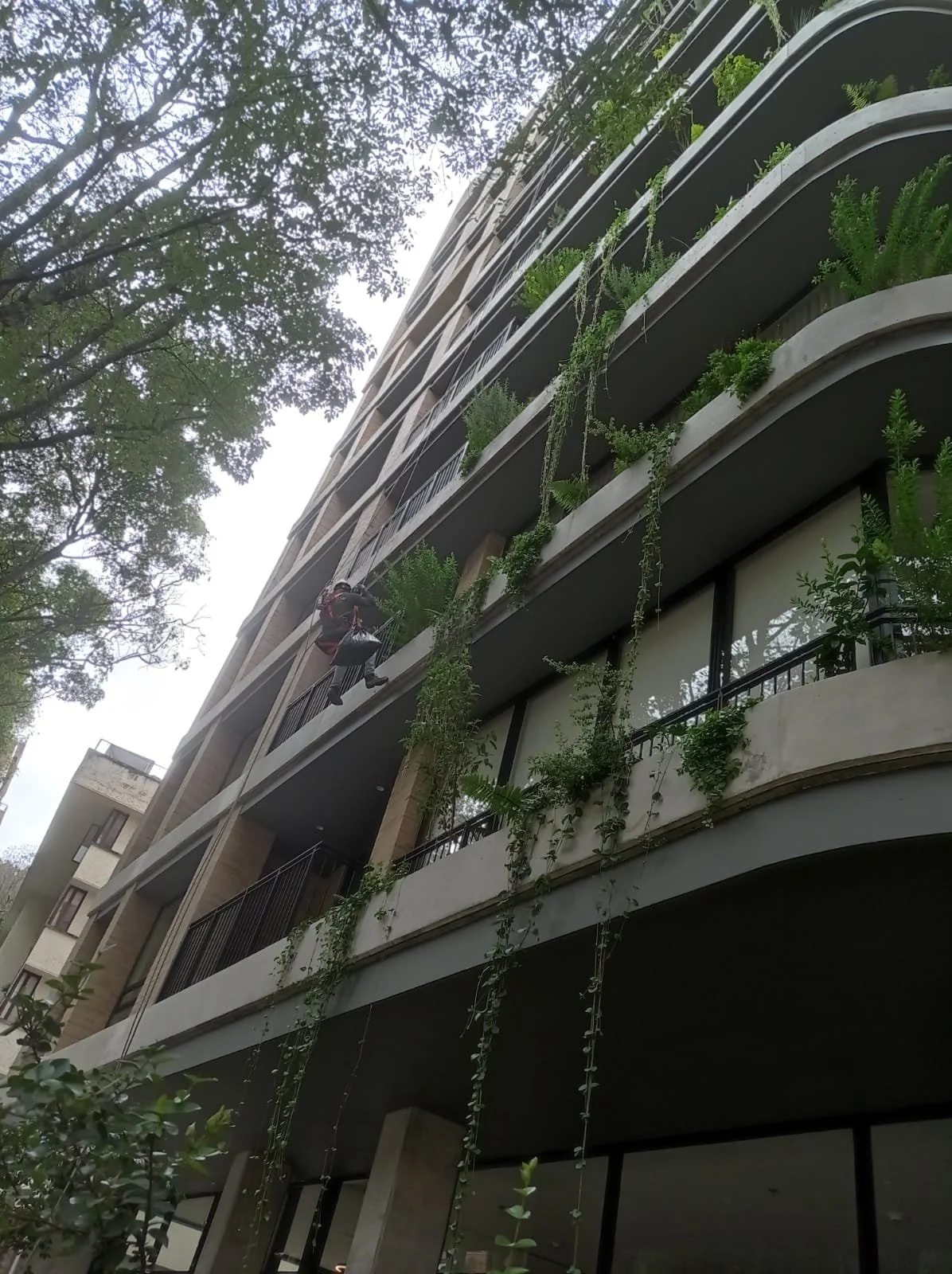 WhatsApp Image 2025-11-25 at 1.46.30 PM.jpeg