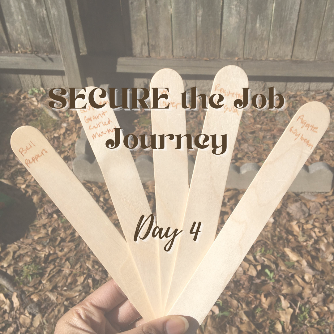 SECURE the Job Journey - Day 4