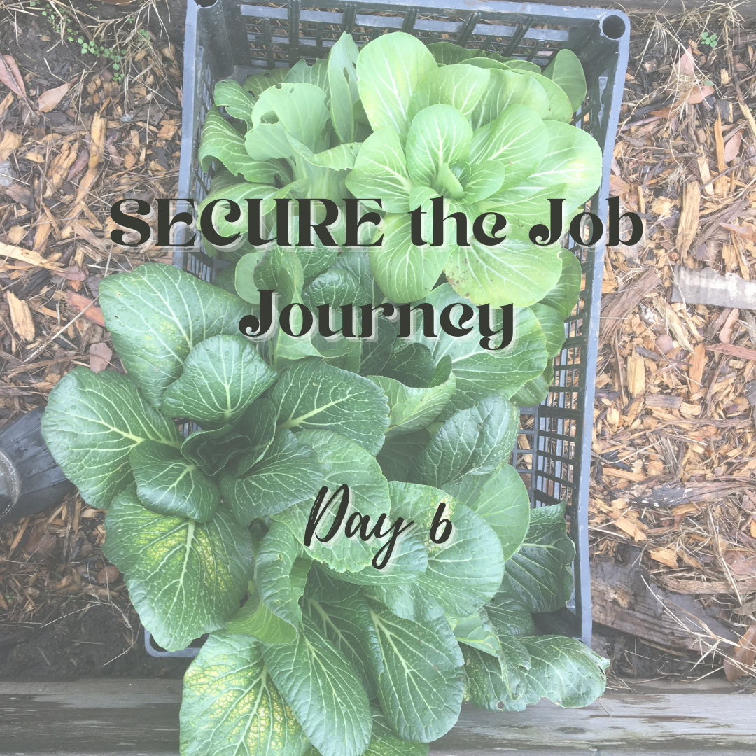 SECURE the Job Journey - Day 6