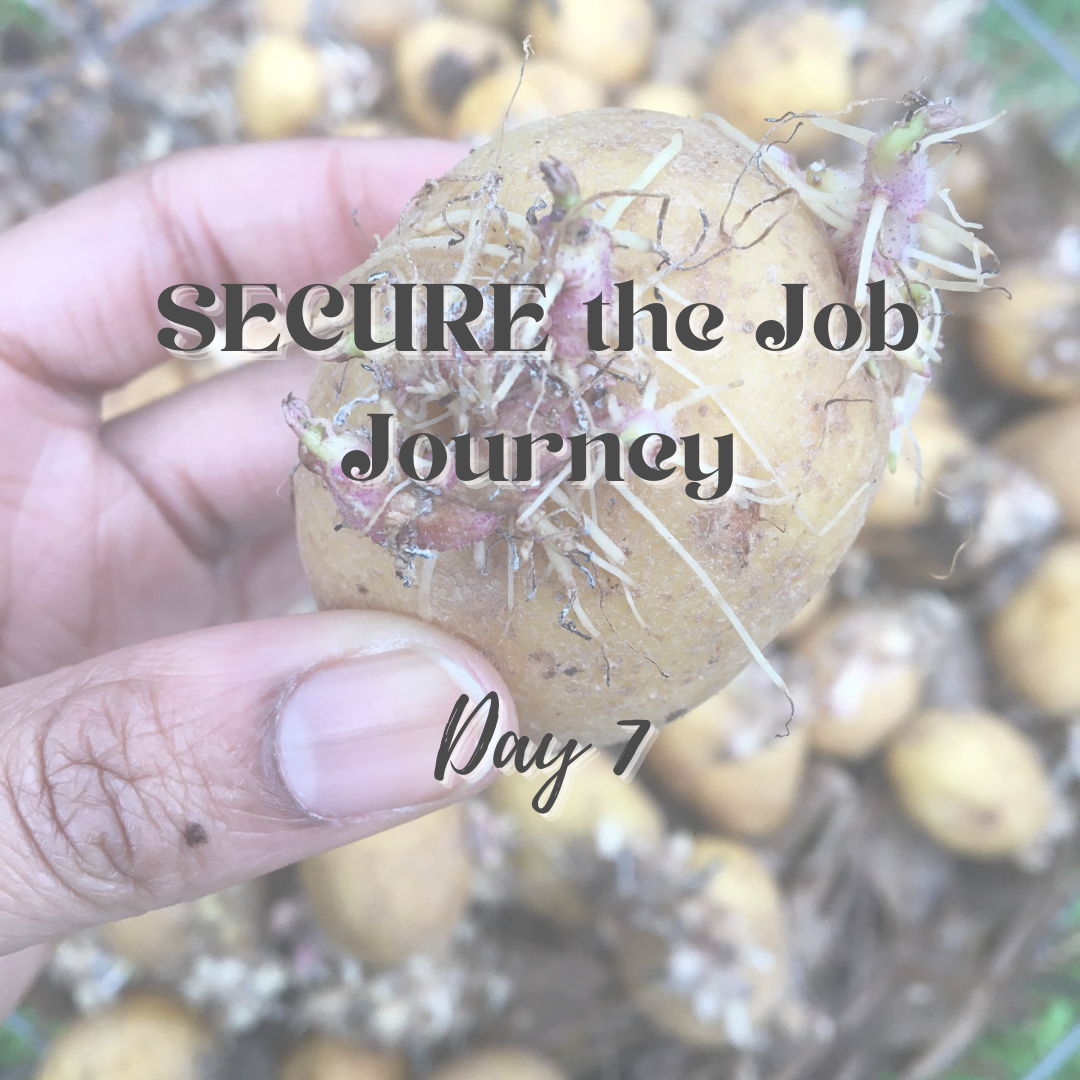 SECURE the Job Journey - Day 7