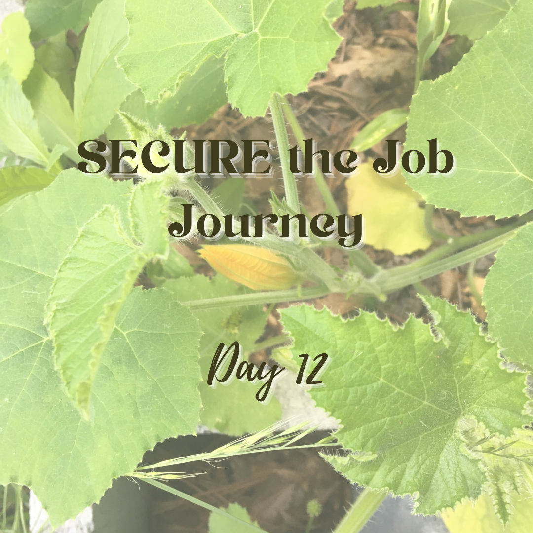 SECURE the Job Journey - Day 12 