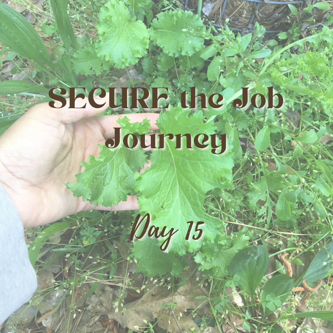 SECURE the Job Journey - Day 15