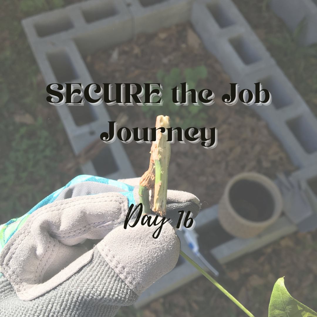 SECURE the Job Journey - Day 16