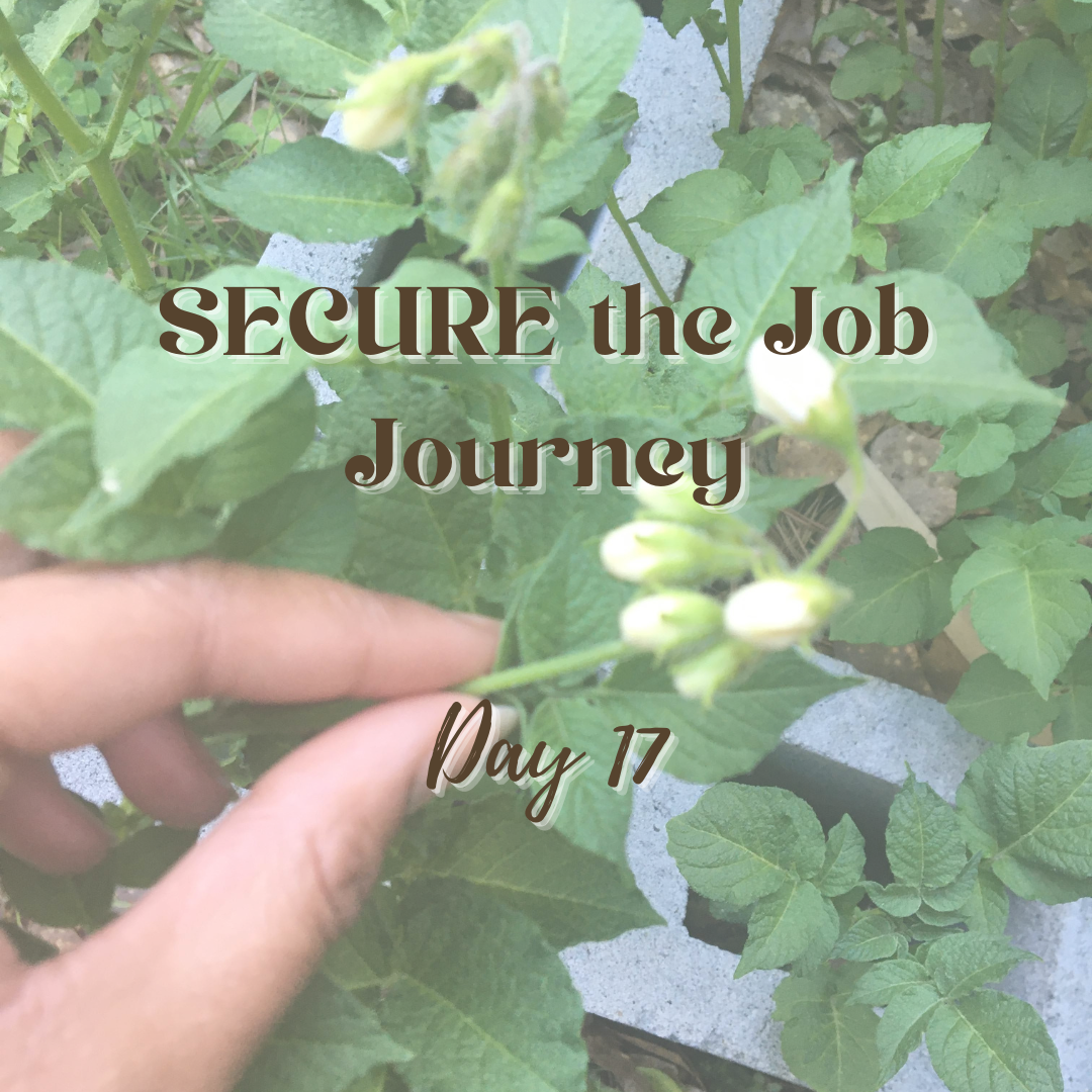 SECURE the Job Journey - Day 17