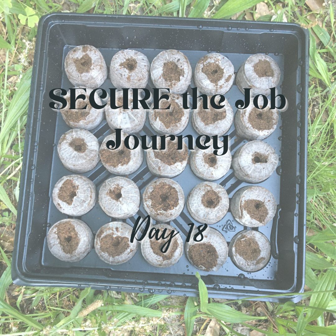 SECURE the Job Journey - Day 18