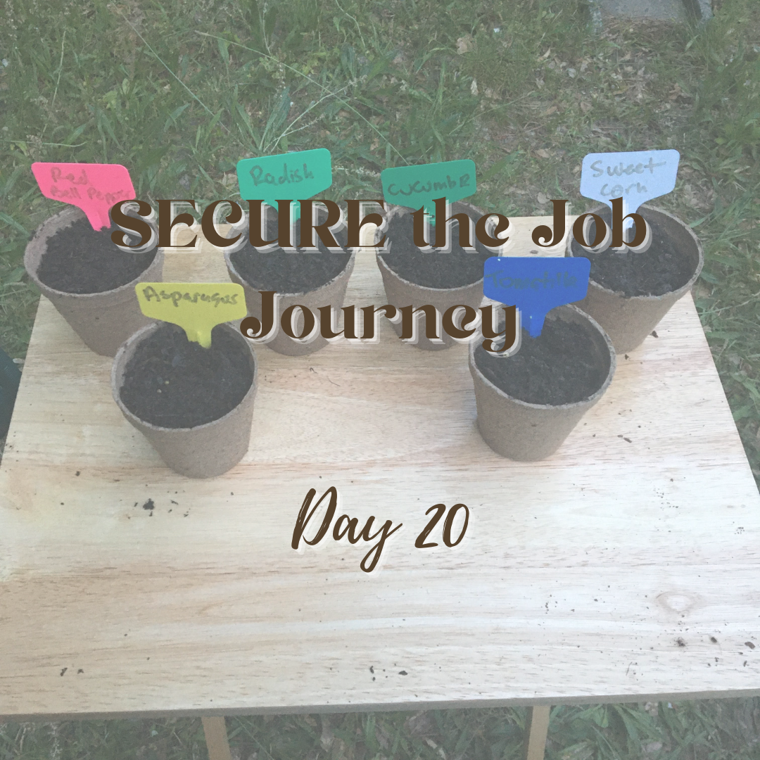 SECURE the Job Journey - Day 20