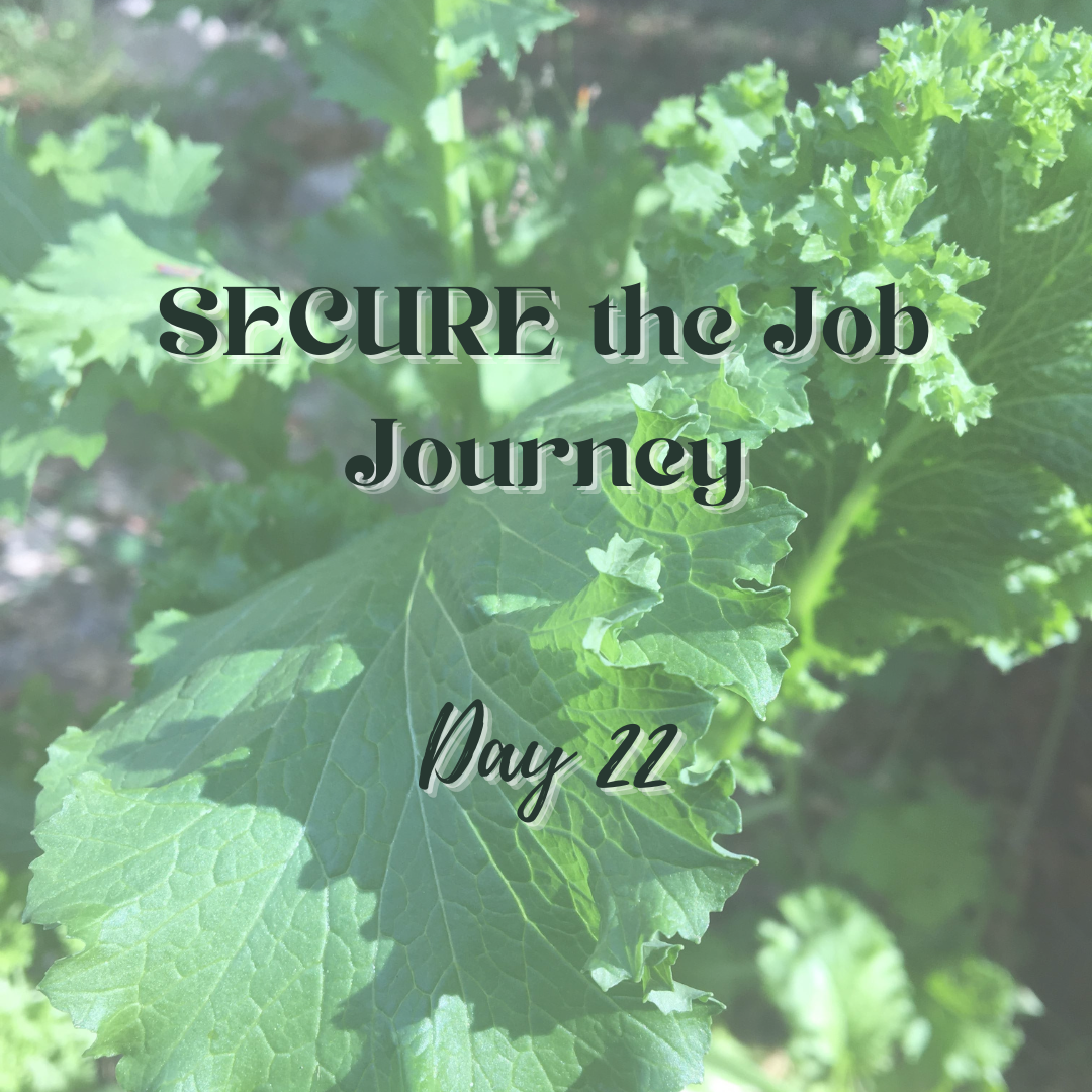 SECURE the Job Journey - Day 22