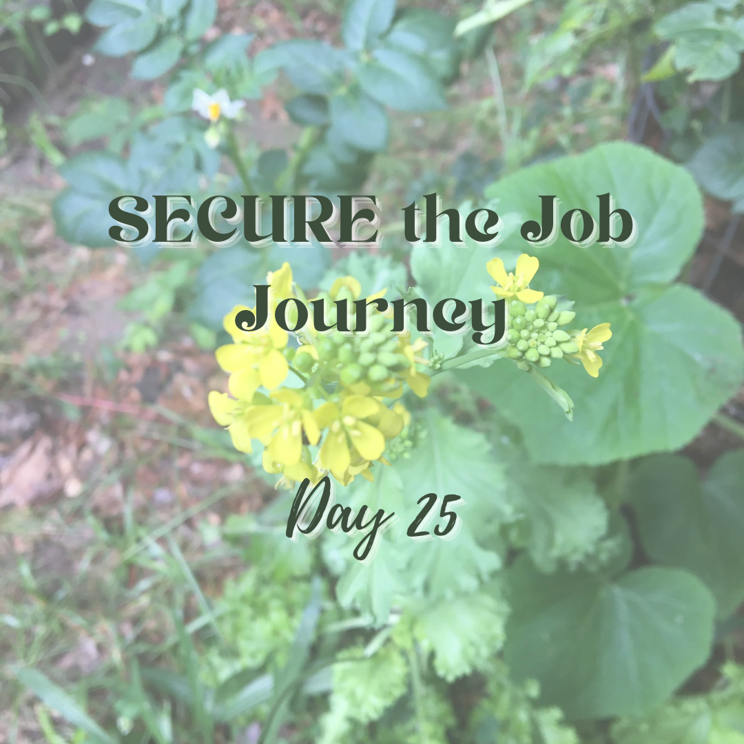 SECURE the Job Journey - Day 25
