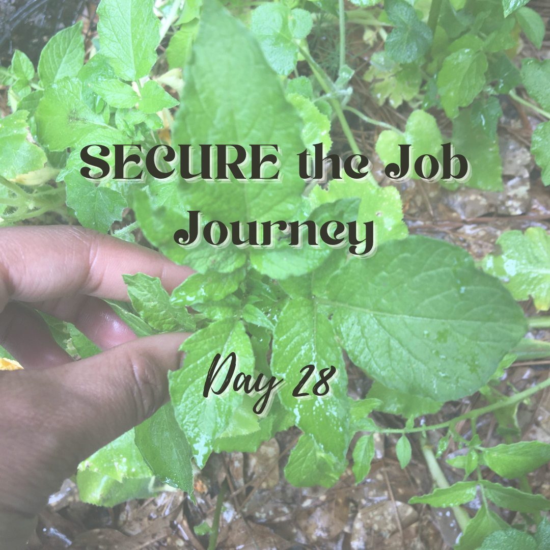 SECURE the Job Journey - Day 28
